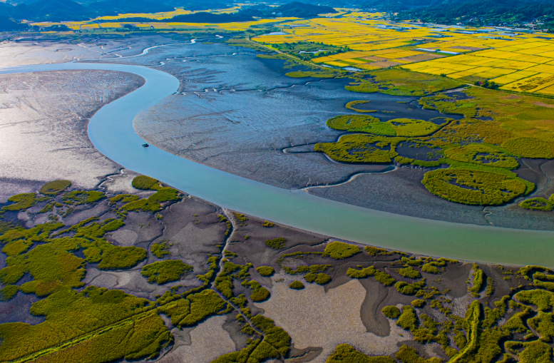 3天2晚麗水郵輪船票