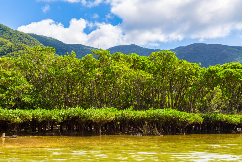 9天8晚九州・釜山郵輪船票