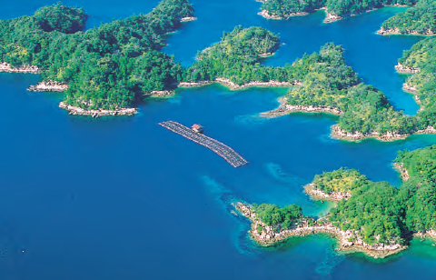 8天7晚日本之夏濟州島．高知郵輪船票