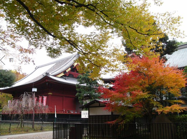 5天4晚秋之小松島．浜島郵輪船票