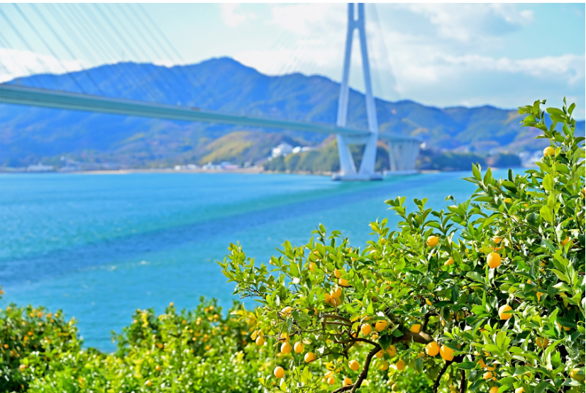4天3晚杵築．瀬戶田郵輪船票