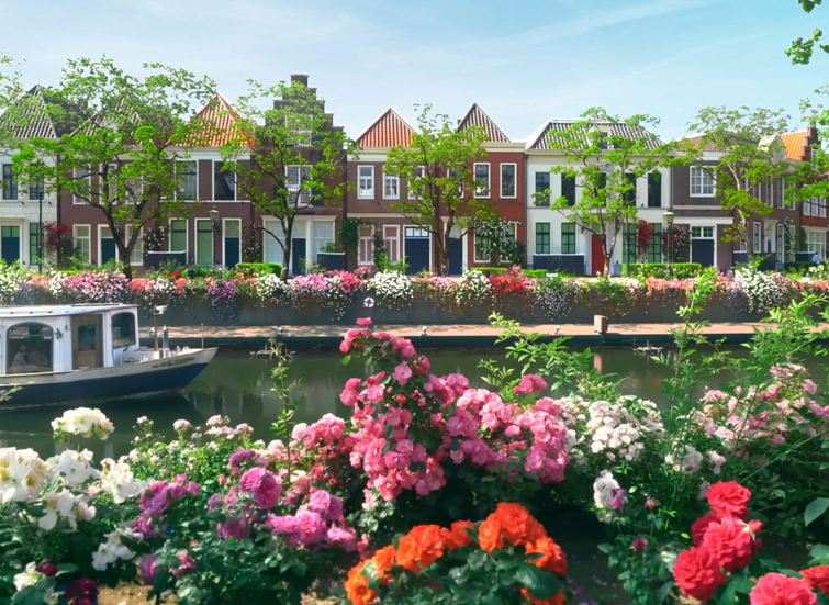 8天7晚日本之春佐世保、指宿、濟州島郵輪船票