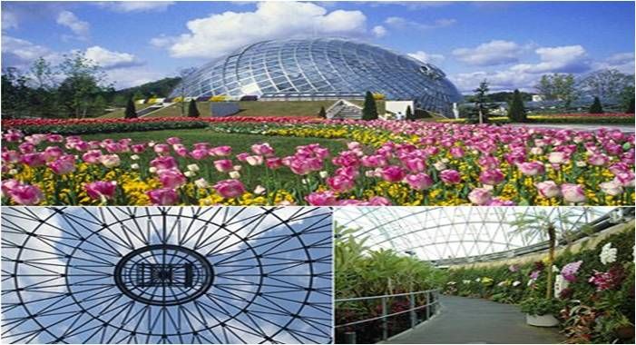 4天3晚日本初夏鳥取、釜山郵輪船票